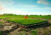 Avoid the rental minefield