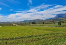 Focus on Auctions and Auctioneering: Broll Auctions and Sales