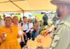 Chris Hani agri show reconnects smallholder farmers to markets
