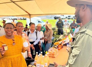 Chris Hani agri show reconnects smallholder farmers to markets
