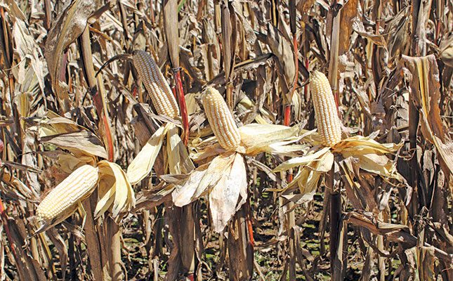 Top farm’s recipe for superior grain production