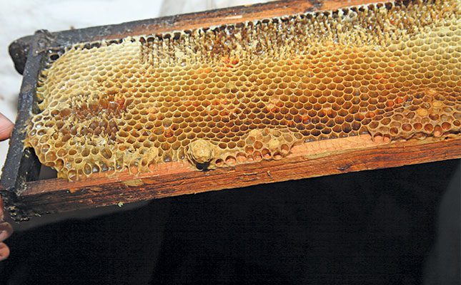 The sticky truth about ‘fake’ honey