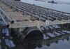 Unlocking the business of oysters