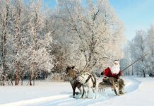 The season of fantasy, fungi, and folklore