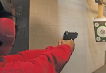 The fine print of firepower: gun laws and ownership