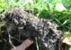 The collapse beneath our feet: why farmers must act now to save soils