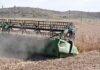 2025/26 soya bean season outlook shows structural sector improvements