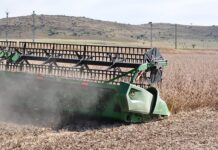 2025/26 soya bean season outlook shows structural sector improvements