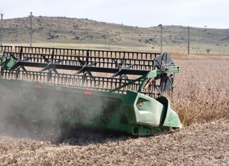 2025/26 soya bean season outlook shows structural sector improvements