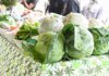 Botswana reinstates vegetable import ban from South Africa vegetables cabbages