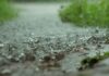 Anomalies and contrasts ruled SA’s rainfall patterns in 2025