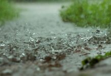 Anomalies and contrasts ruled SA’s rainfall patterns in 2025