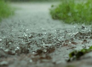 Anomalies and contrasts ruled SA’s rainfall patterns in 2025