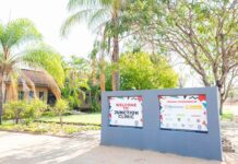 Award-winning Hlokomela takes rural community care to the next level