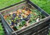 Recognising the value of manure and organic waste
