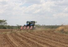 Farmers could see cash flow relief if diesel prices fall