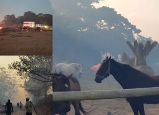 Fires destroy farms, homes and grazing in the Bathurst area