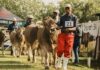 Livestock excluded from Bloem Show as FMD risk persists