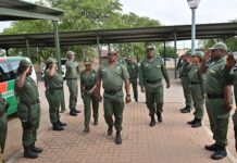 Tighter border controls on agri goods as travellers return to SA