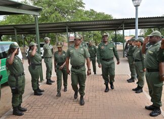Tighter border controls on agri goods as travellers return to SA