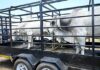 North West retracts FMD movement protocol