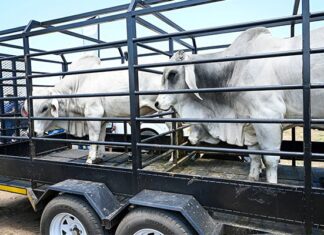 North West retracts FMD movement protocol