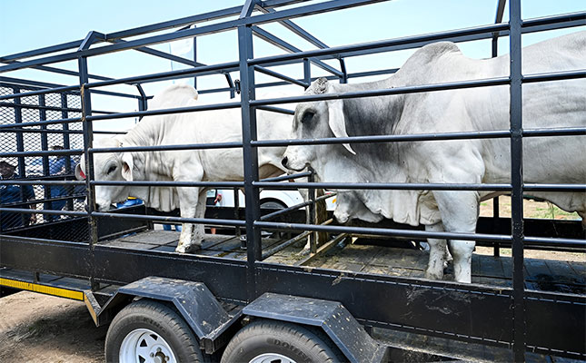 North West retracts FMD movement protocol