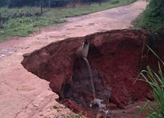 Flood risk looms as Mpumalanga braces for up to 800mm of rain