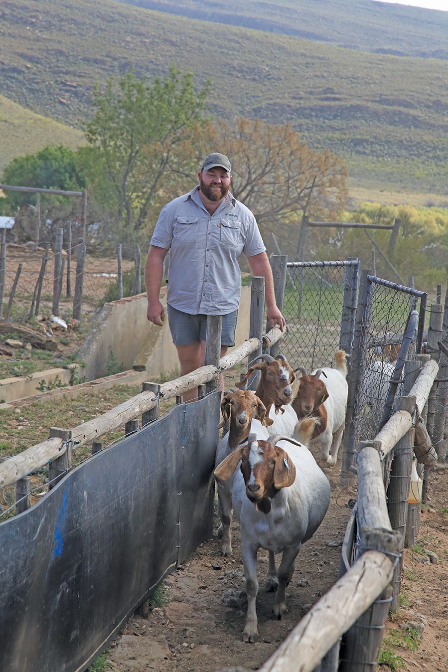 Giel Swiegers boer goat farmer