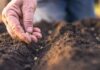 Positioning farm finance for the best results