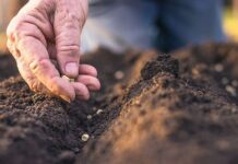 Positioning farm finance for the best results