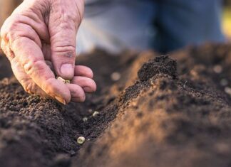 Positioning farm finance for the best results