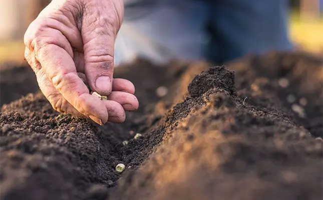 Positioning farm finance for the best results