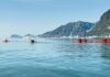 An Arctic adventure where the hunt continues, but on the ice rather than in the bush