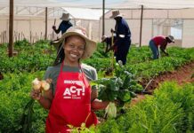 Corporate partnerships help communities grow their own food Nomxoliswa Makhabane