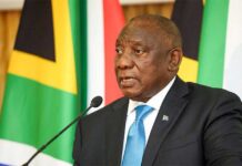 New climate commission to steer SA’s just energy transition to 2030