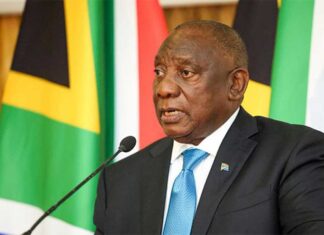 New climate commission to steer SA’s just energy transition to 2030