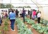 Agri Skills Transfer: where agricultural careers take root