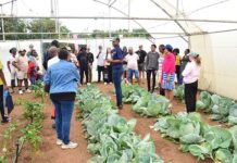 Agri Skills Transfer: where agricultural careers take root