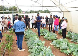 Agri Skills Transfer: where agricultural careers take root