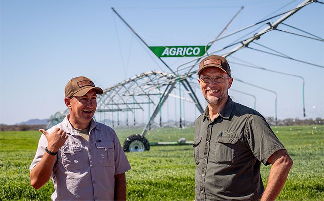 Brahman: a legacy of adaptability and strength in South Africa