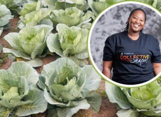 Metropolitan Collective Shapers empowers SA’s youth entrepreneurs Siphindile Hlengwa