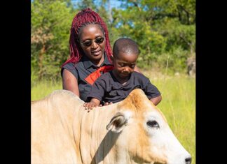 A haven for children to learn about farming