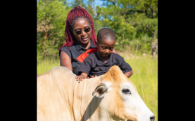 A haven for children to learn about farming
