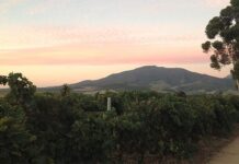 Domestic travel boom fuels growth in agritourism