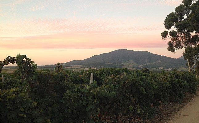 Domestic travel boom fuels growth in agritourism