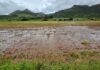Efforts underway to assist flood victims in Limpopo and Mpumalanga Flood damage Origstad Mpumalanga