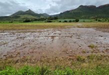 Efforts underway to assist flood victims in Limpopo and Mpumalanga Flood damage Origstad Mpumalanga
