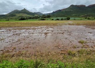 Efforts underway to assist flood victims in Limpopo and Mpumalanga Flood damage Origstad Mpumalanga