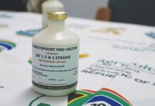 FMD vaccine rollout criticised as industry questions years of inaction